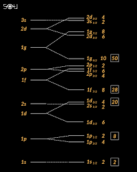 Discrete energy levels in a shell model. Drawing energy levels s, p and d in nuclears 